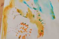 IMG-20231205-WA0010