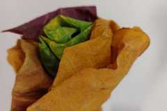 IMG-20231026-WA0003